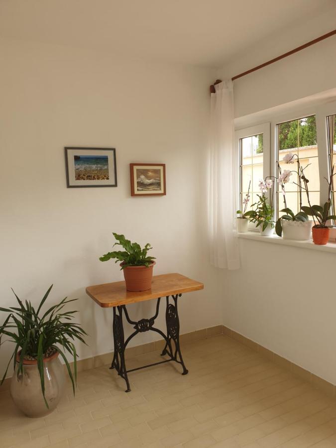Apartments Davorka Banjol 外观 照片