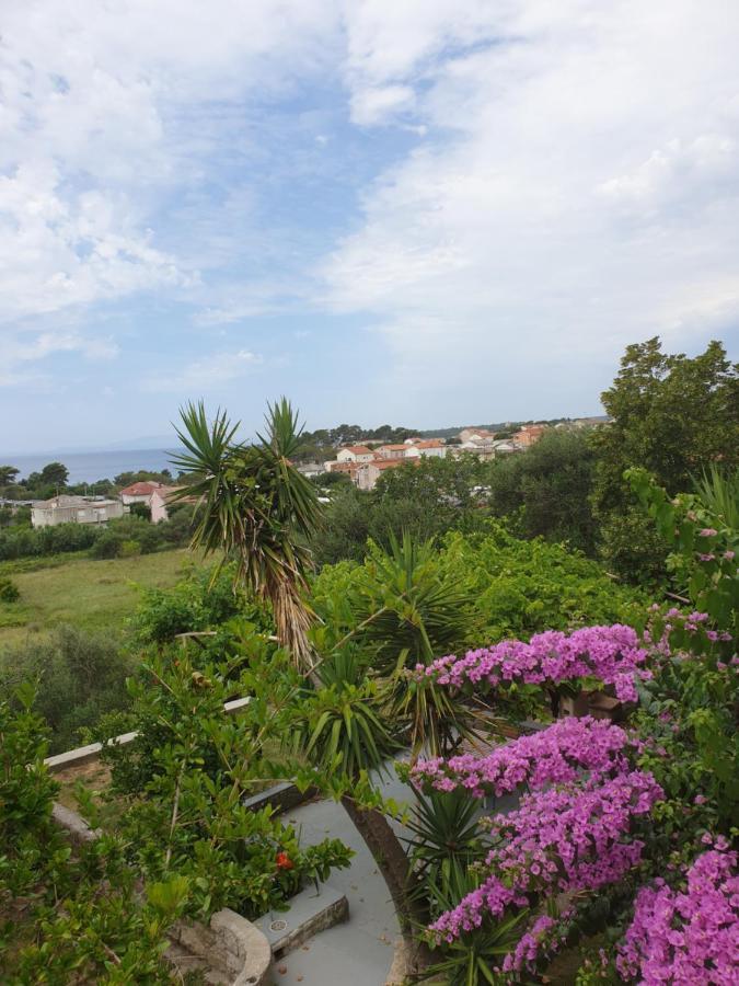 Apartments Davorka Banjol 外观 照片